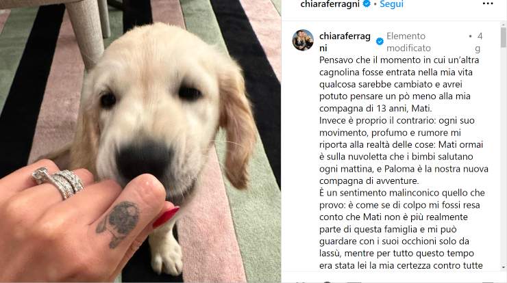 paloma cucciolo chiara ferragni