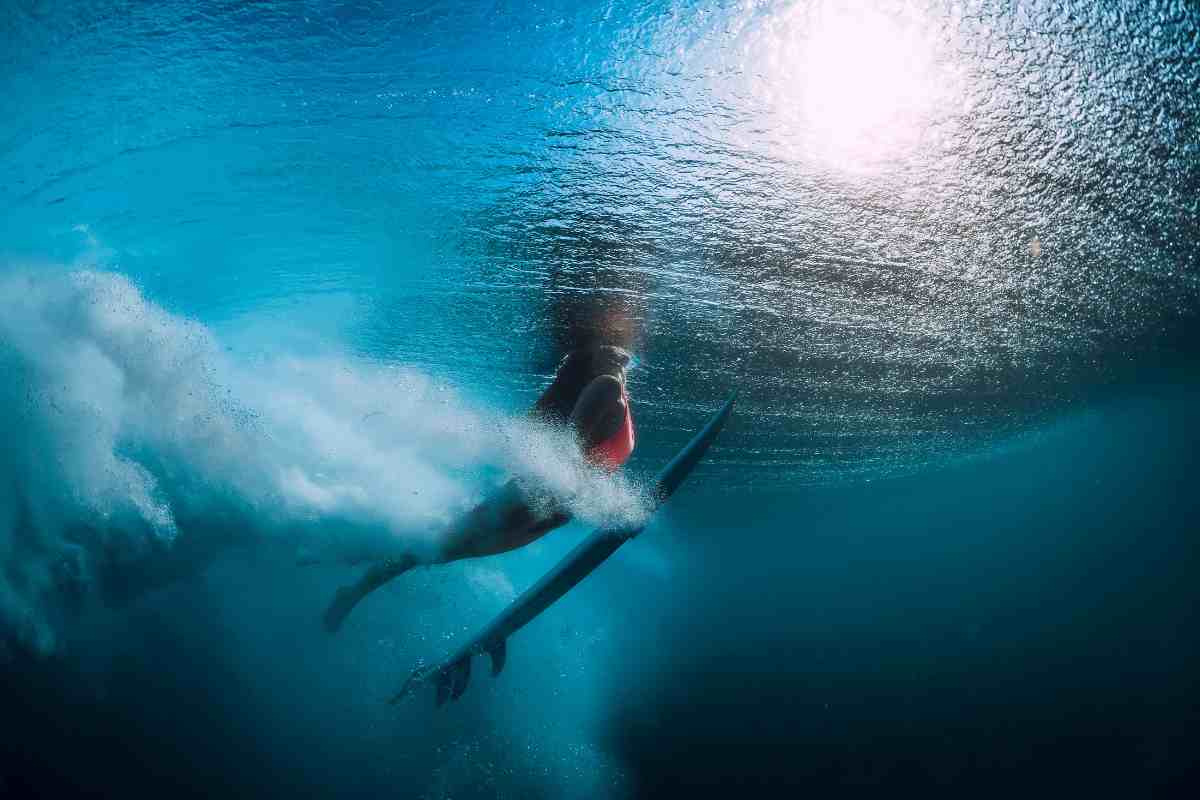 Uomo sulla tavola da surf colpito da una balena