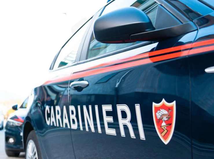 Donna arrestata per due infanticidi