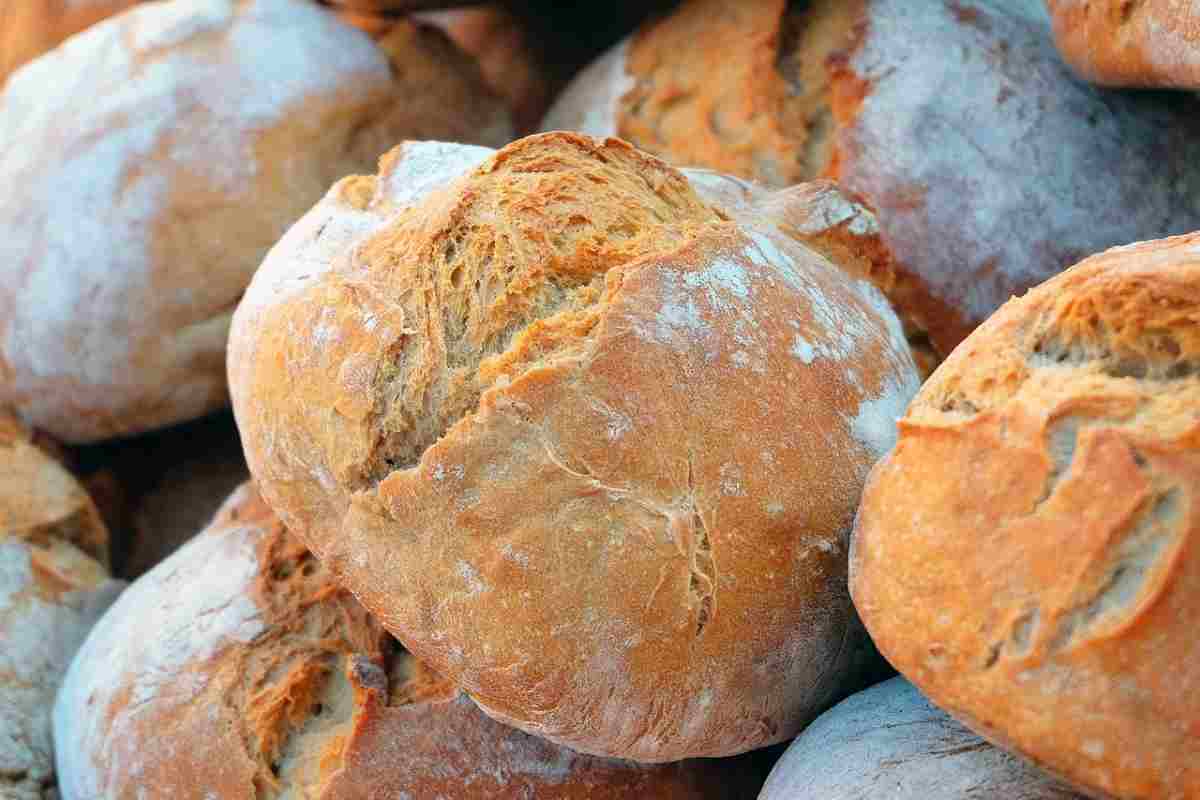 Pane