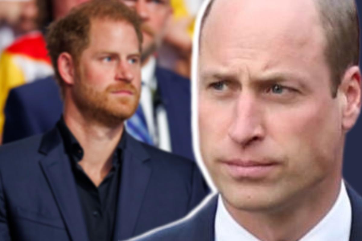 harry william rapporto