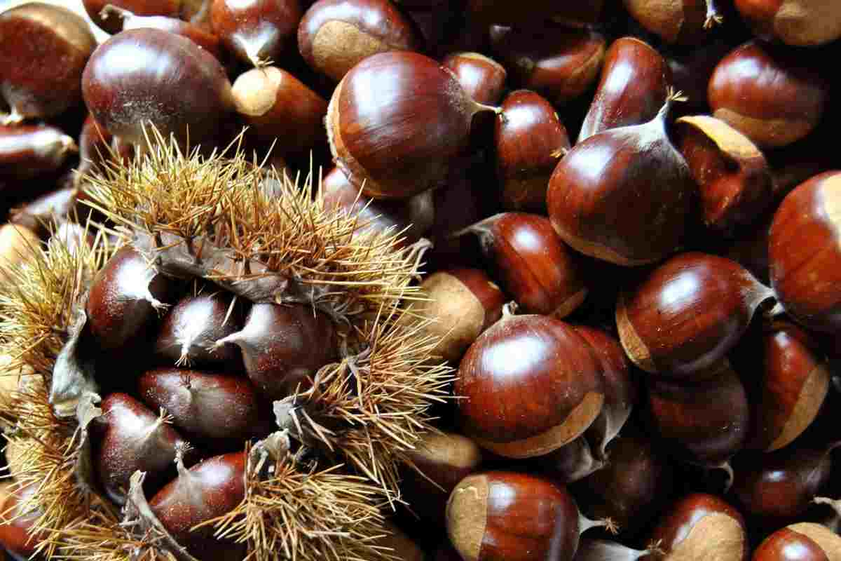 Castagne