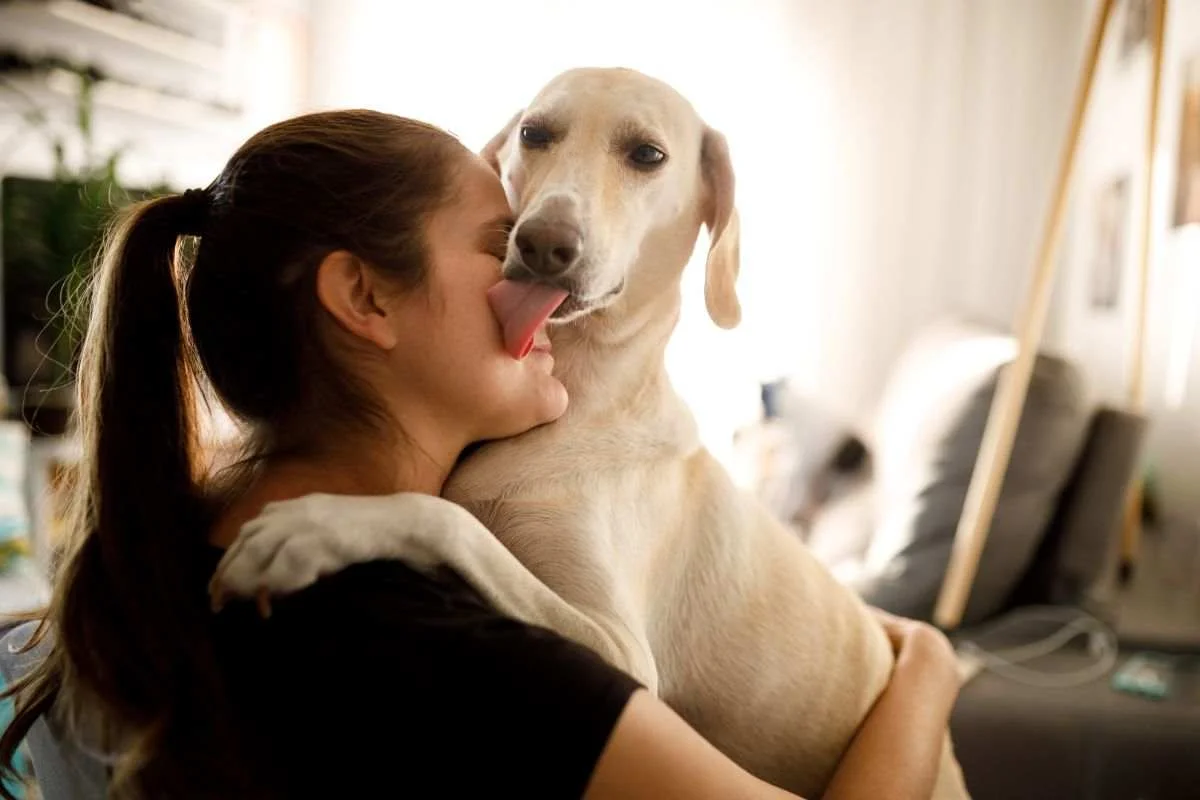 Saliva dei cani: quali rischi per noi