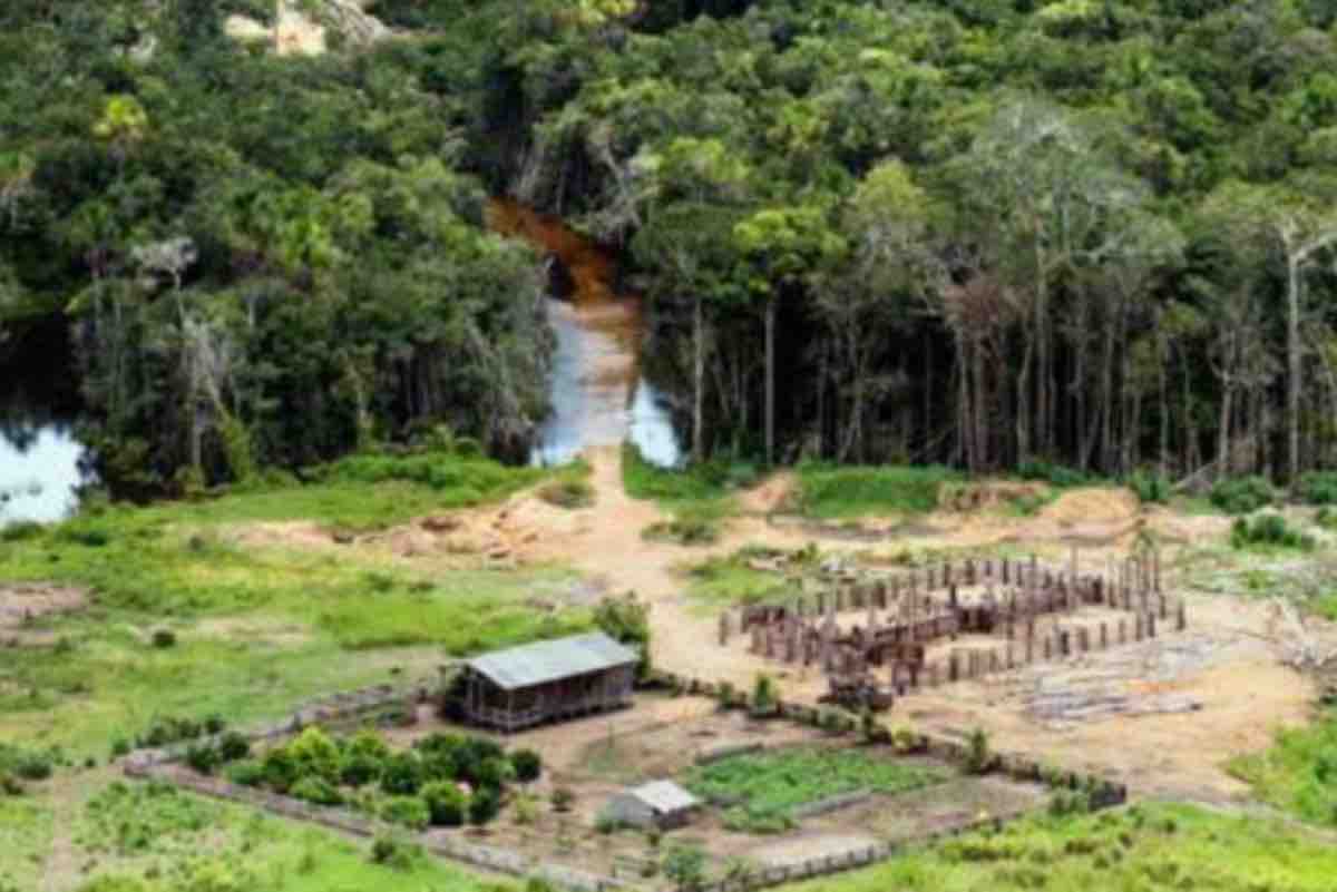 Grande scoperta in Amazzonia