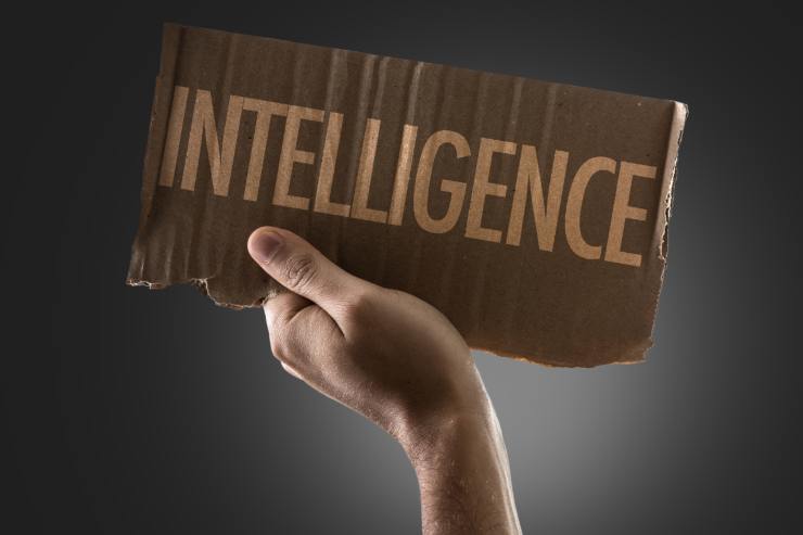 5 segnali di intelligenza