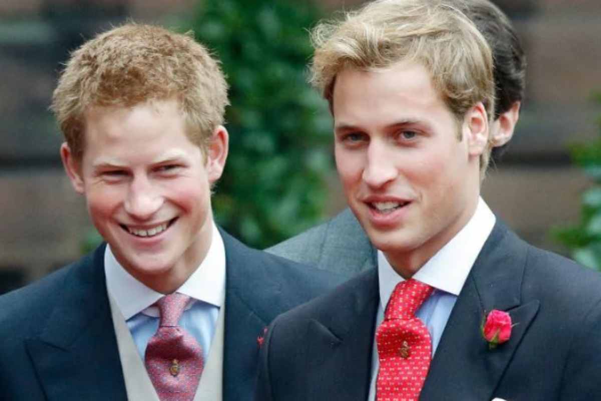 Come ricucire il legame tra Harry e William?