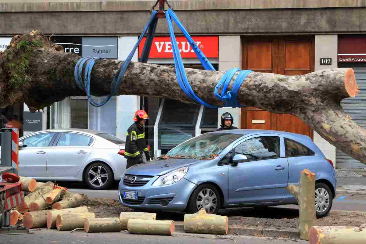 L'incidente e l'arresto