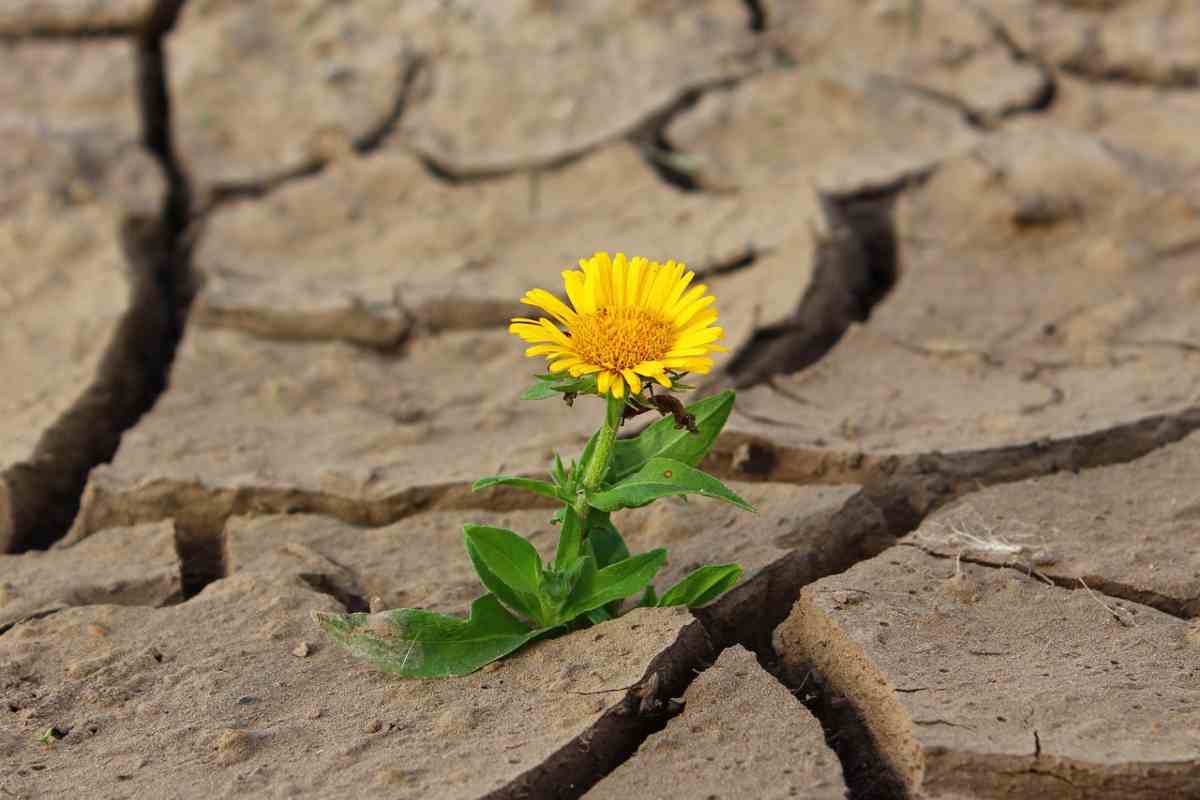 Rischio di aumento siccità: previsioni meteo