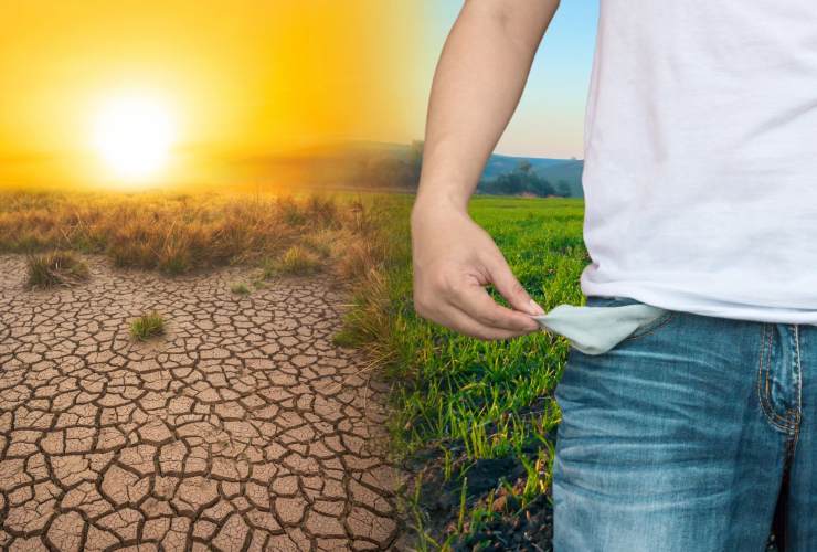 Cambiamento climatico il costo