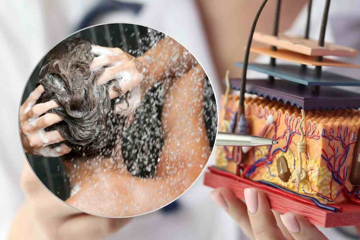 Lavaggi settimanali dei capelli: l’allerta dei dermatologi, non sbagliamo più