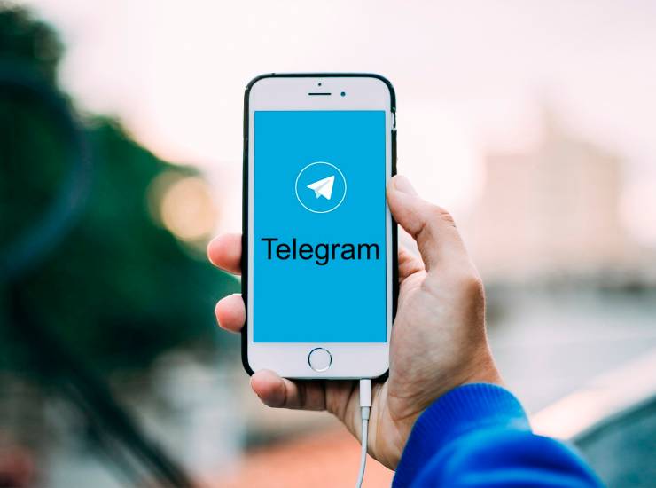 Il pensiero degli esperti su Telegram