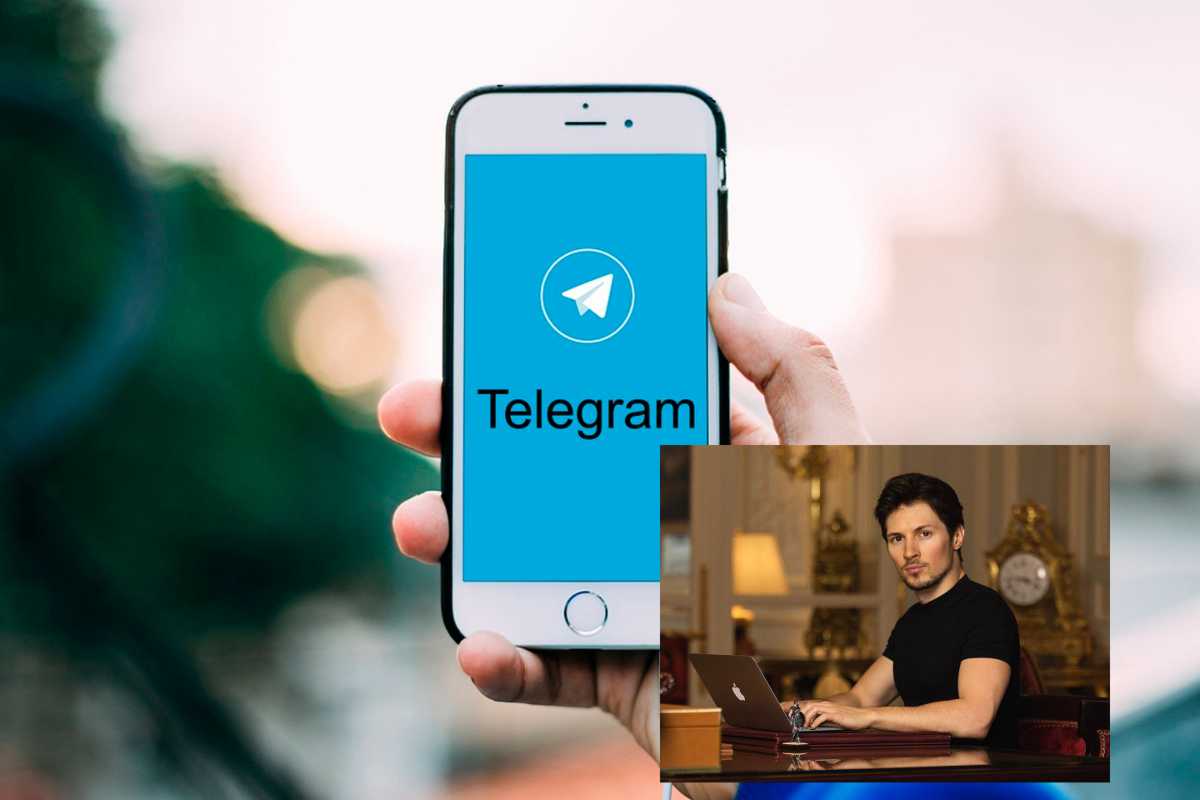 Telegram complice 