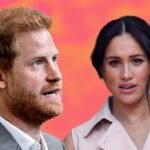 harry meghan frustrata