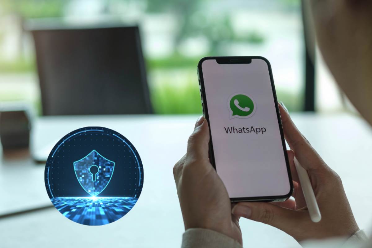 privacy whatsapp link web