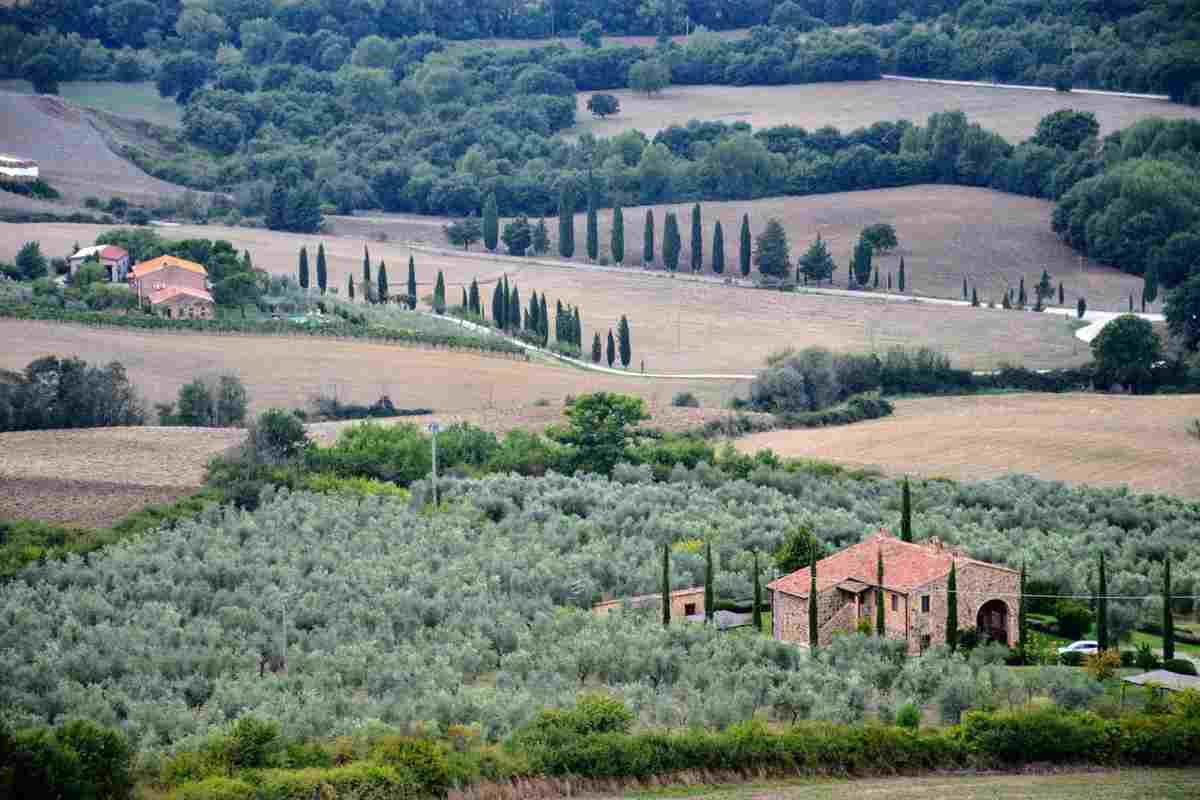 L'ipotesi del bullismo