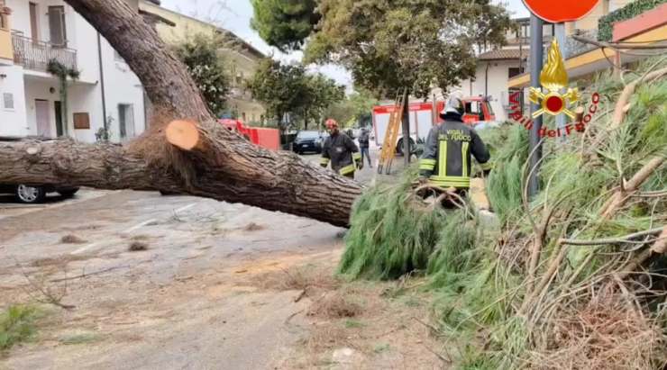 Un 20enne è morto a Bologna per il maltempo