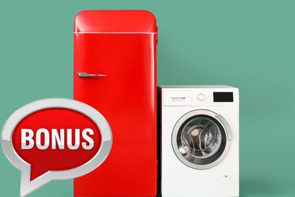 Bonus elettrodomestici 2025 compri frigo, lavatrice e non solo. Come