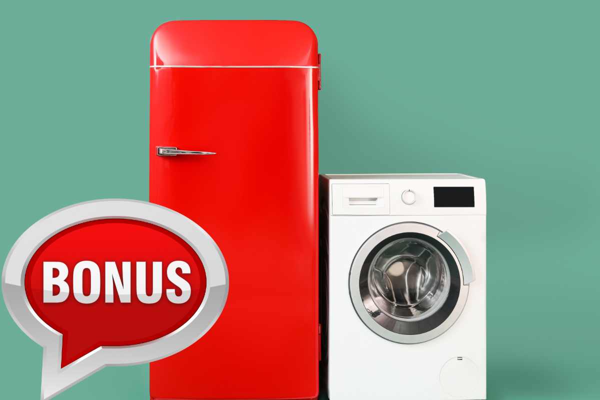 Bonus elettrodomestici 2025: compri frigo, lavatrice e non solo. Come funziona