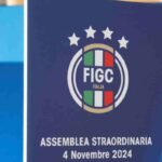 Assemblea Figc