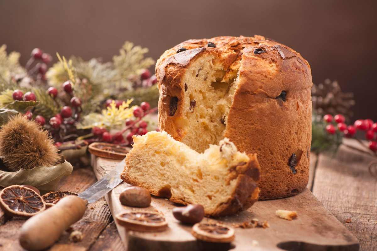 Abbiamo assaggiato il panettone alla farina di grilli: ecco che sapore ha