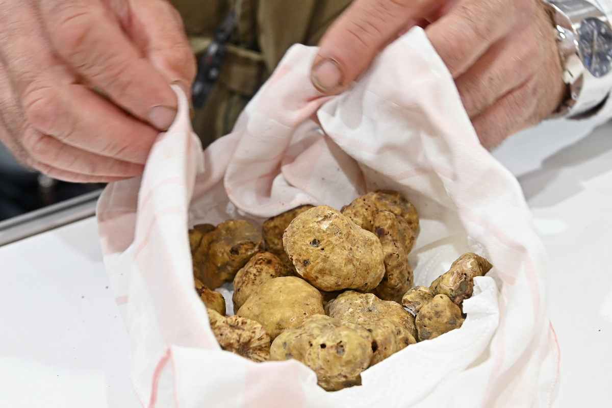 Un tartufo bianco come fosse oro, acquistato a un prezzo mai visto