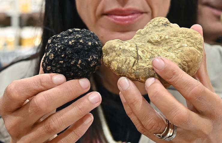 Tartufo nero e bianco