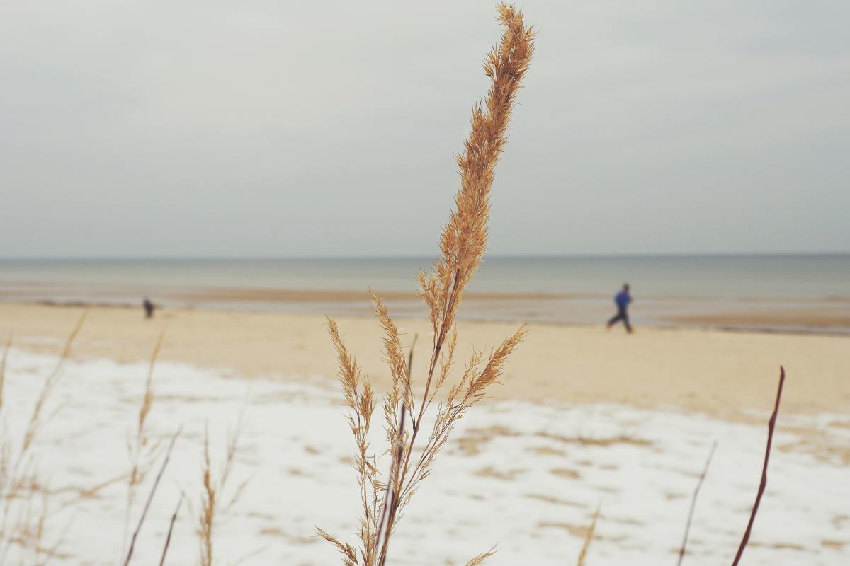 Neve al mare