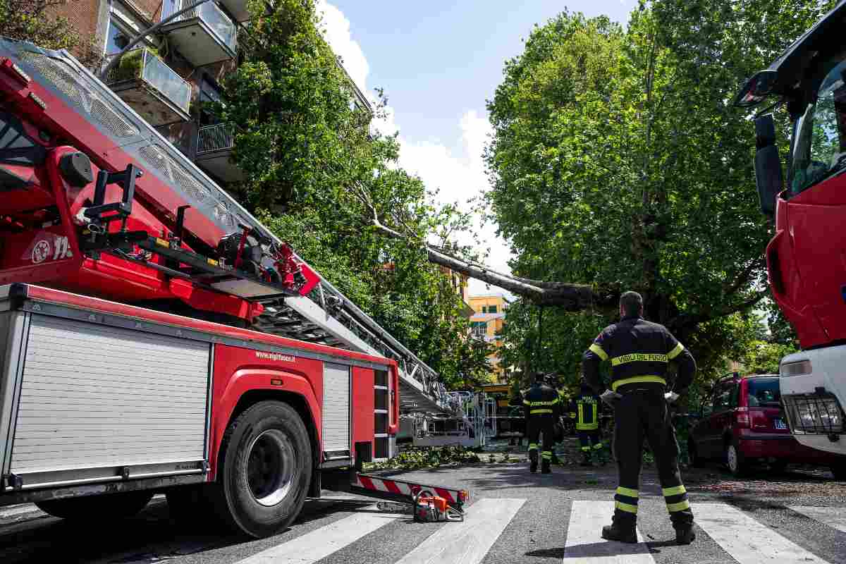 Cade un albero, donna muore davanti ai tre figli: cosa è successo