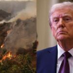 Trump e gli incendi in California