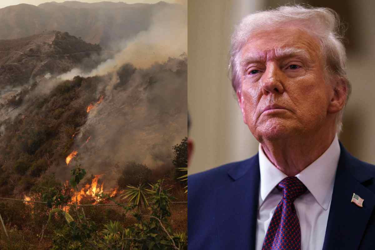 Incendi in California, Trump trova il responsabile: il nome sorprende tutti