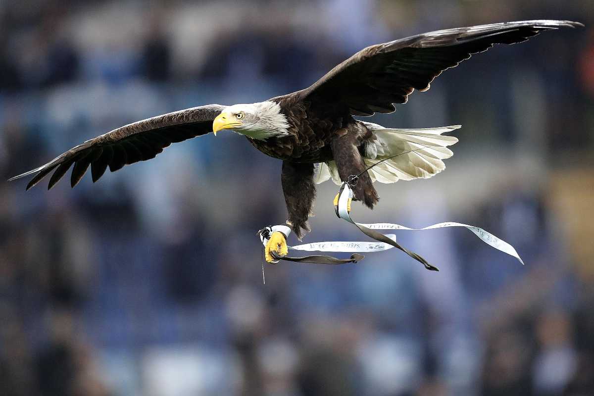 Incredibile, ma vero: la Lazio saluta l’aquila Olympia