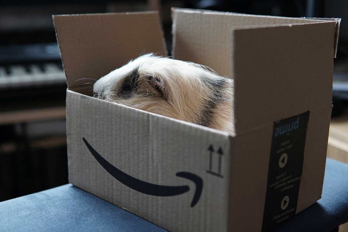 Pacco Amazon