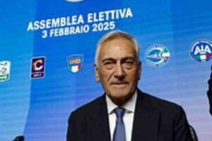 Gravina alla Figc